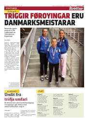 Síða 17