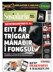 Síða 1