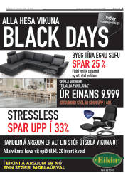 Síða 3