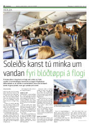 Síða 20