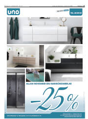 Síða 21