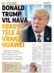 Síða 10