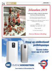 Síða 24