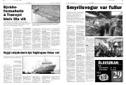 Síða 3