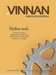 Síða 25