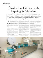 Síða 28