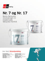 Síða 29