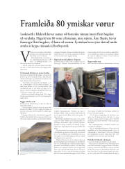 Síða 30