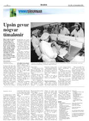Síða 22
