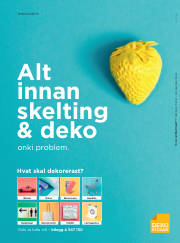 Síða 48
