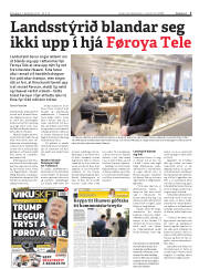 Síða 5