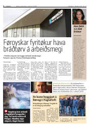 Síða 8