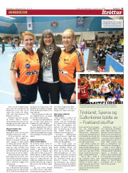 Síða 13