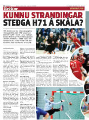 Síða 14