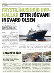 Síða 6