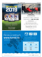 Síða 19