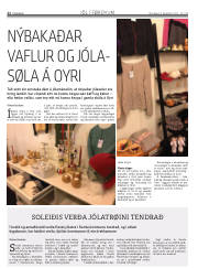 Síða 22