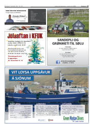Síða 27