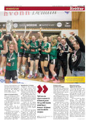 Síða 31