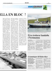 Síða 29