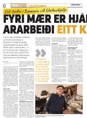 Síða 6