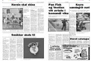 Síða 4