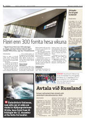 Síða 8