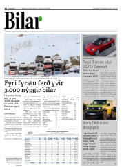 Síða 12