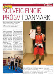 Síða 15