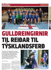 Síða 20