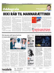 Síða 2