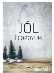 Síða 13