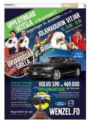 Síða 3
