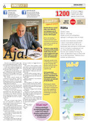 Síða 4