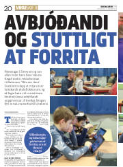 Síða 20