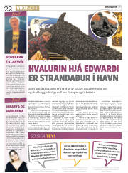Síða 22
