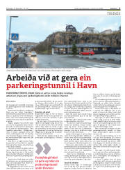 Síða 5