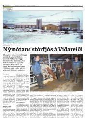 Síða 6