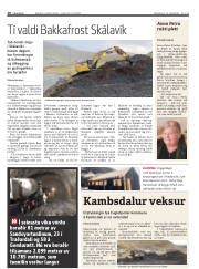 Síða 10