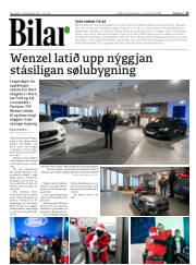 Síða 13