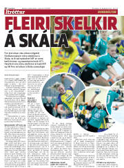 Síða 20