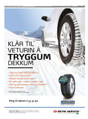 Síða 15