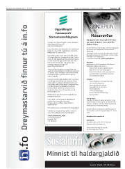 Síða 19