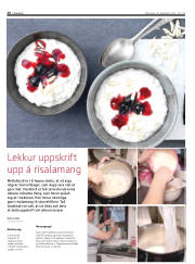 Síða 20