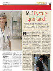 Síða 11