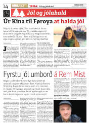 Síða 14