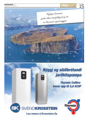 Síða 15