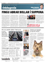 Síða 2
