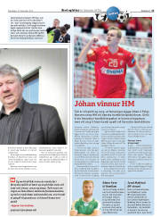 Síða 15