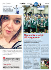 Síða 17